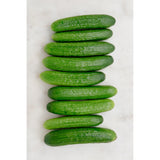 Mini Cukes